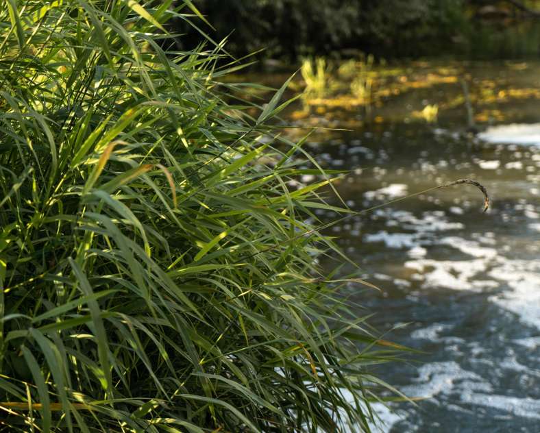 S. Michel De Boulay-Moselle à Volmerange-lès-Boulay