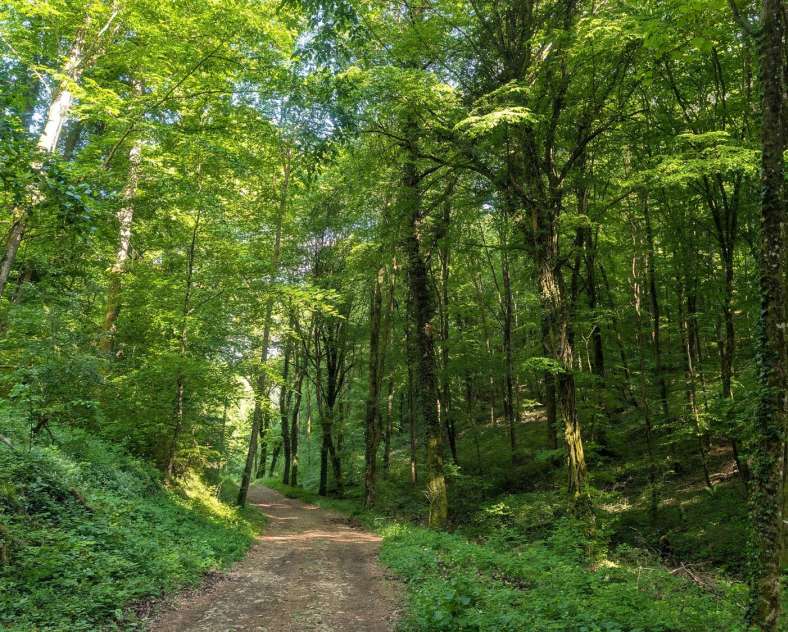 Moselle Attractivité Autour de Gorze