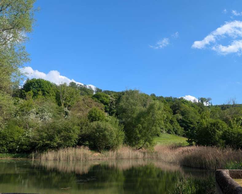 Moselle Attractivité Autour de Gorze