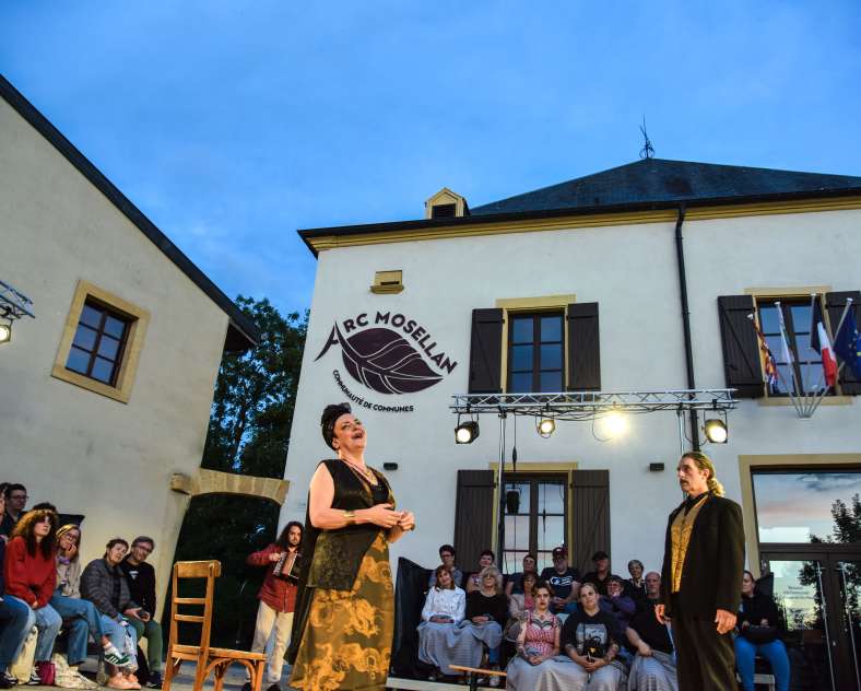 Sylvain Dessi RHINOCÉROS d’Eugène Ionesco - Festival de Théâtre de l’Arc Mosellan