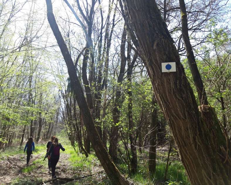 OT Saint-Avold Coeur de Moselle  Circuits du Club vosgien section de Saint-Avold