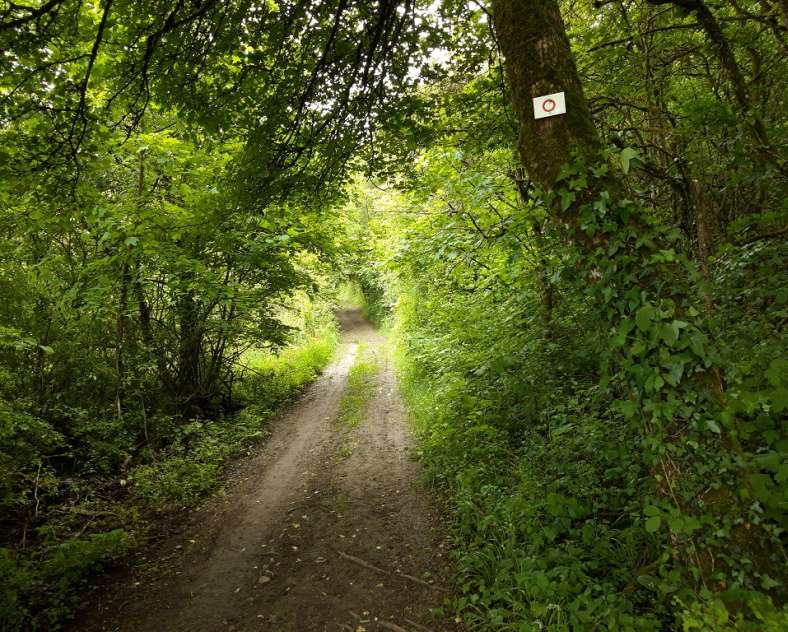 OT Saint-Avold Coeur de Moselle  Circuits du Club vosgien section de Saint-Avold