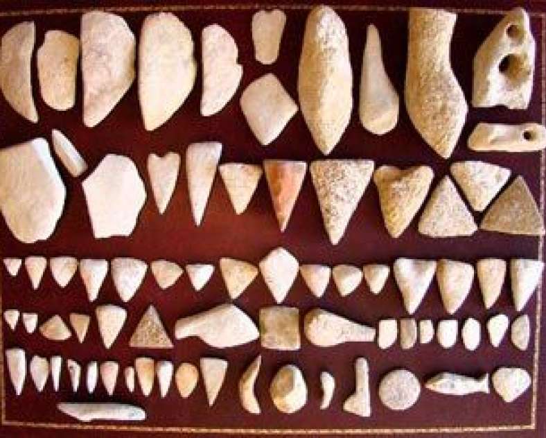 Musée Local de Faulquemont Musée local de géologie et archéologie de Faulquemont