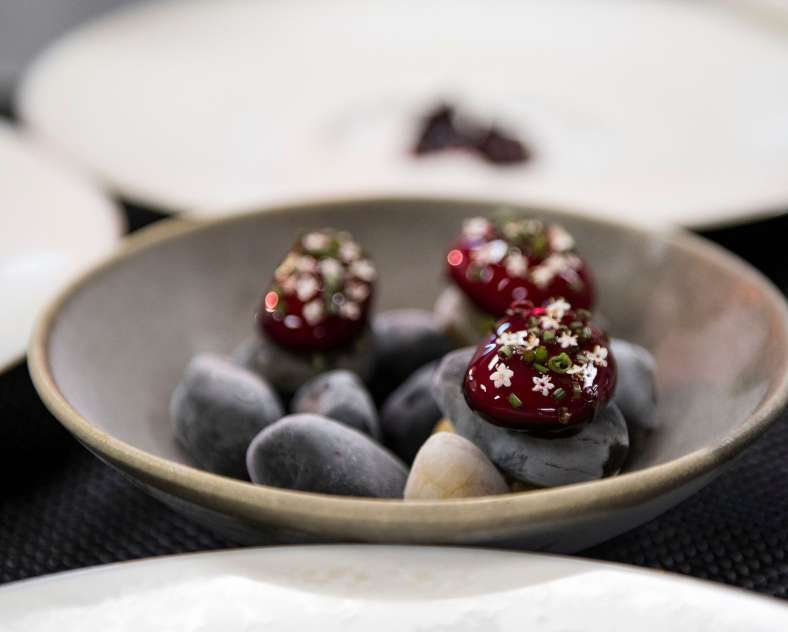 Nicolas Decloedt  Restaurant gastronomique Le Toya