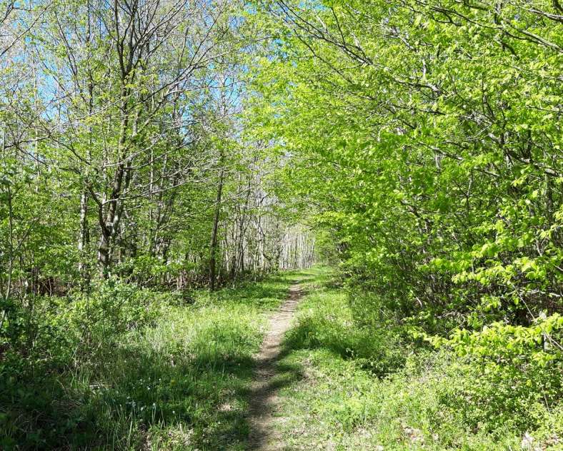 Office de tourisme Saint-Avold Coeur de Moselle Randonnée pédestre à la découverte des mardelles
