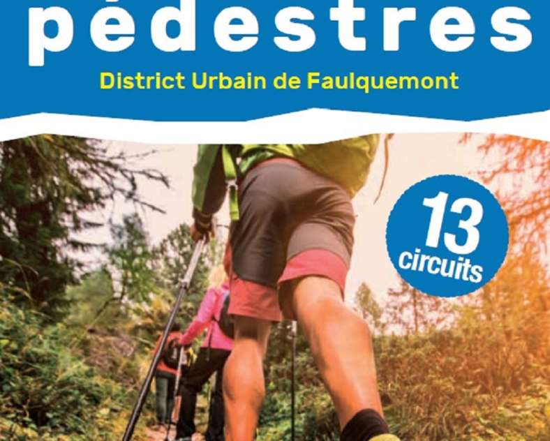 DUF Circuit Faux en forêt