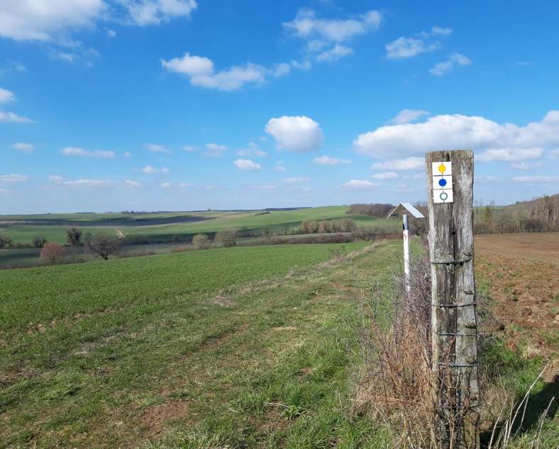 OT Saint-Avold Coeur de Moselle  Circuit La voie romaine