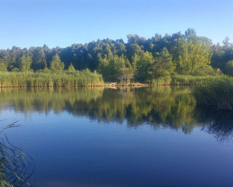 M. Schang  Sentier pédagogique du Berfang