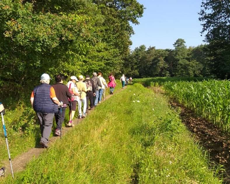 OT Saint-Avold Coeur de Moselle Rendez-vous rando