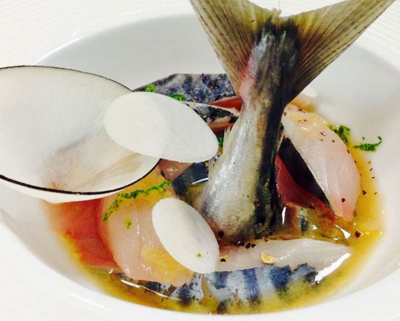 Restaurant Dimofski  Restaurant  dimofski