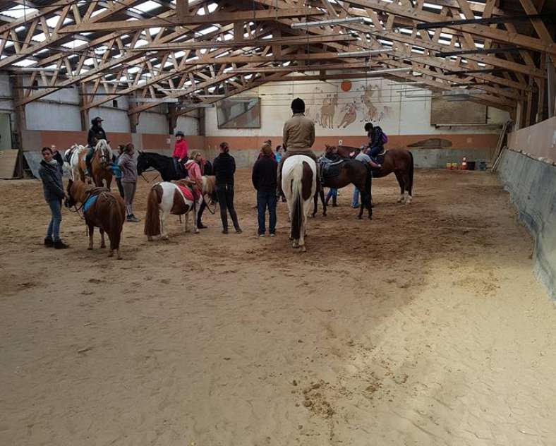 Sarreguemines Jump Centre Équestre - Sarreguemines Jump