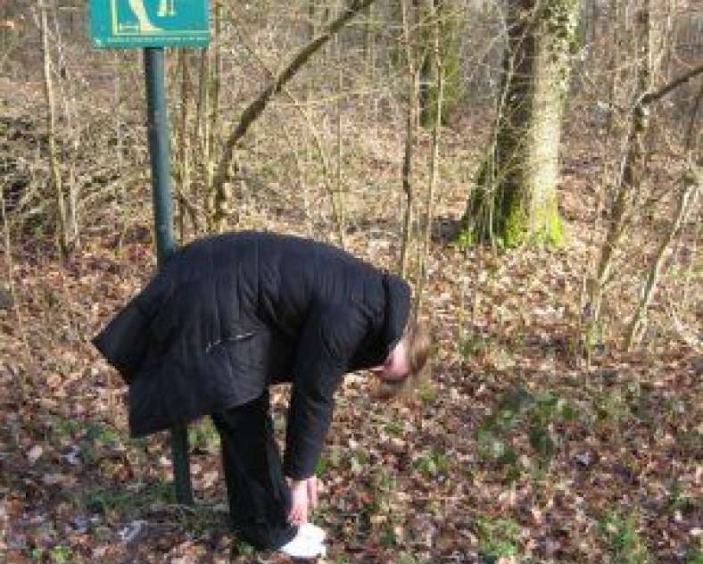 Sarreguemines Tourisme  Botanical and health trip