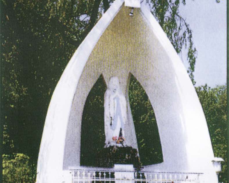 JL Gillig  Botanical and health trip