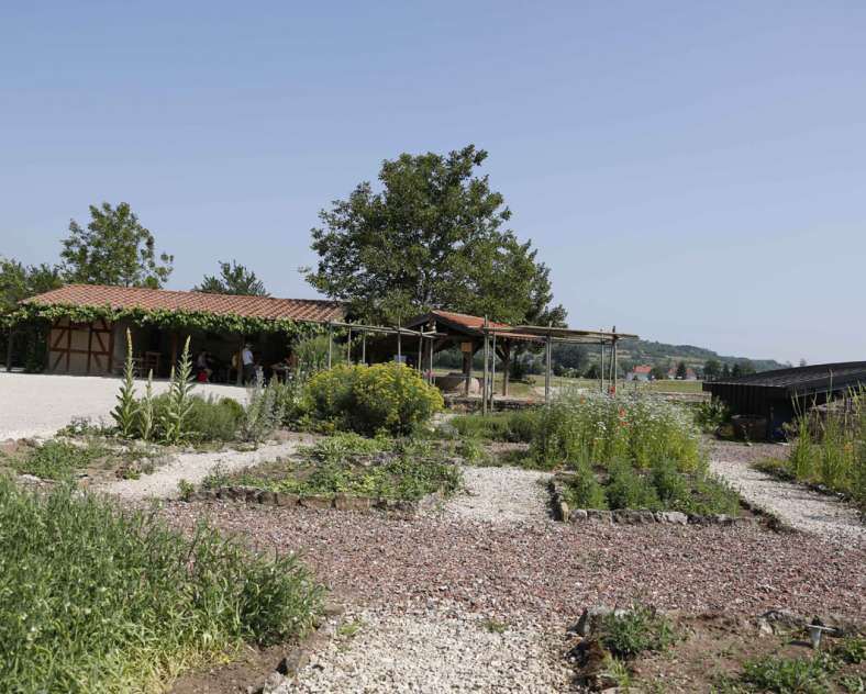 Gilles Pecqueur Gallo-roman garden