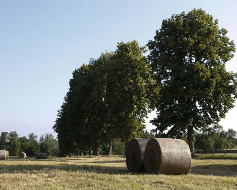 Gilles Pecqueur - Sarreguemines Tourisme Tour in the footsteps of the Romans