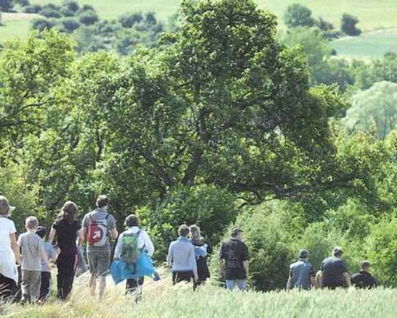 Mairie de Woelfling  Walking trails in Woelfling-les-Sarreguemines