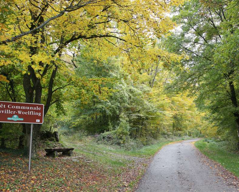 Autrement Vu  Walking trails in Woelfling-les-Sarreguemines
