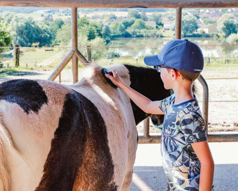 JLauer-SarregueminesTourisme  Balade à poneys - Élevage Del Navajo