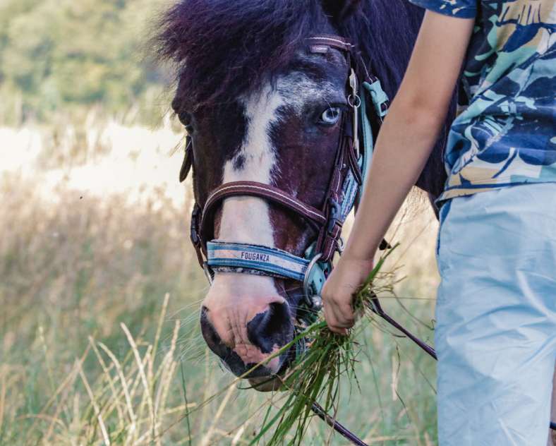JLauer-SarregueminesTourisme  Balade à poneys - Élevage Del Navajo
