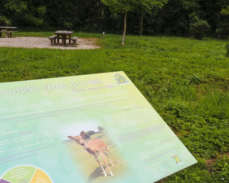 ESiest - Sarreguemines Tourisme Arboretum