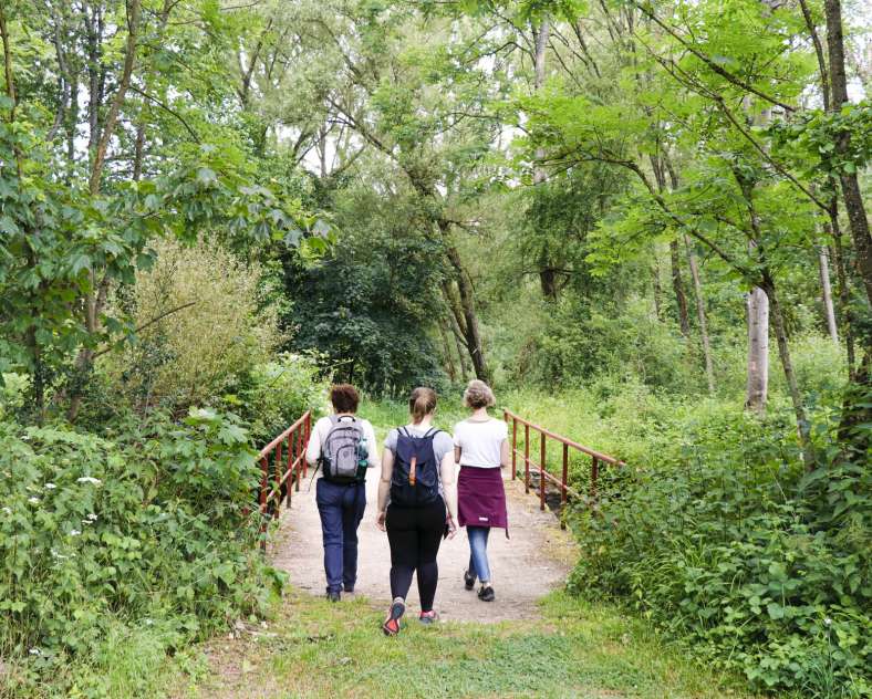 ESiest - Sarreguemines Tourisme Arboretum