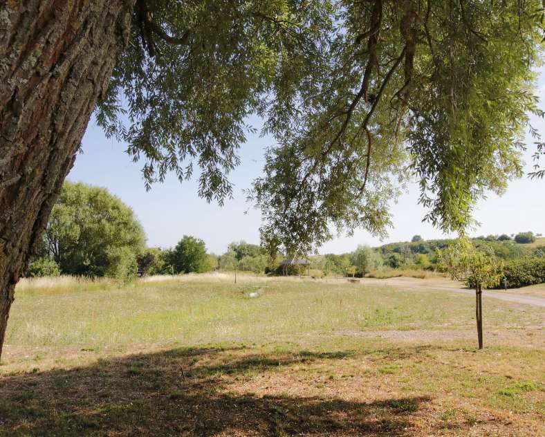 CTurpin - Sarreguemines Tourisme Arboretum