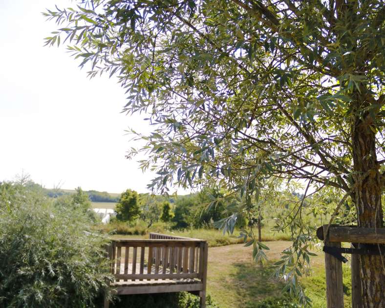 CTurpin - Sarreguemines Tourisme Arboretum