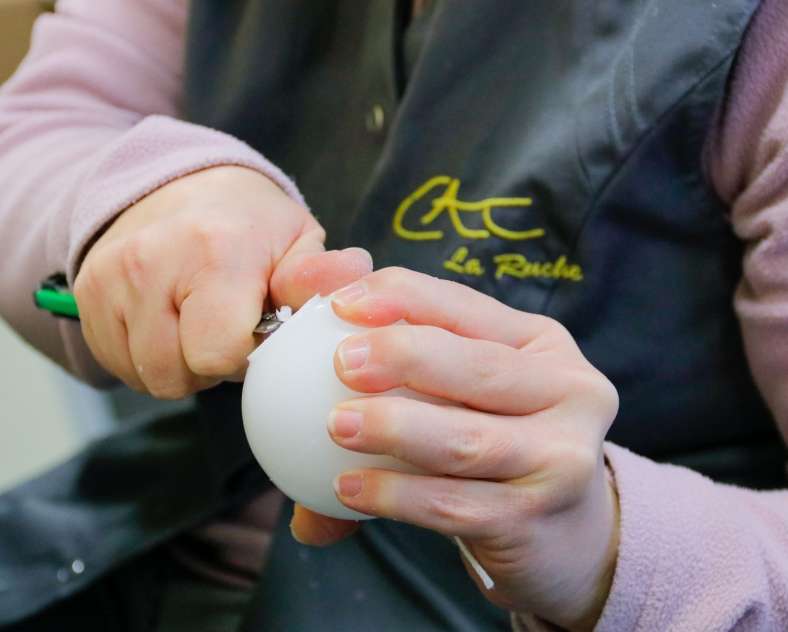 CTurpin - Sarreguemines Tourisme Arti'cat