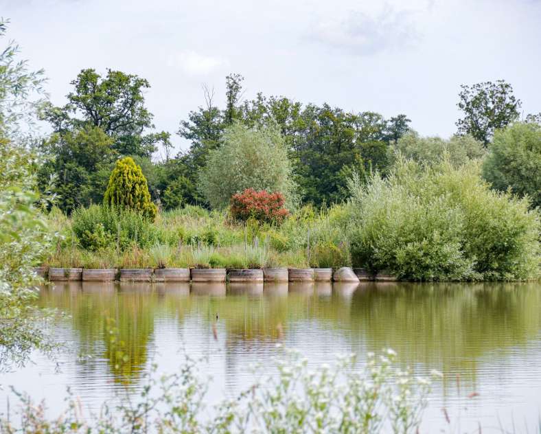 CTurpin - Sarreguemines Tourisme Le goji du val