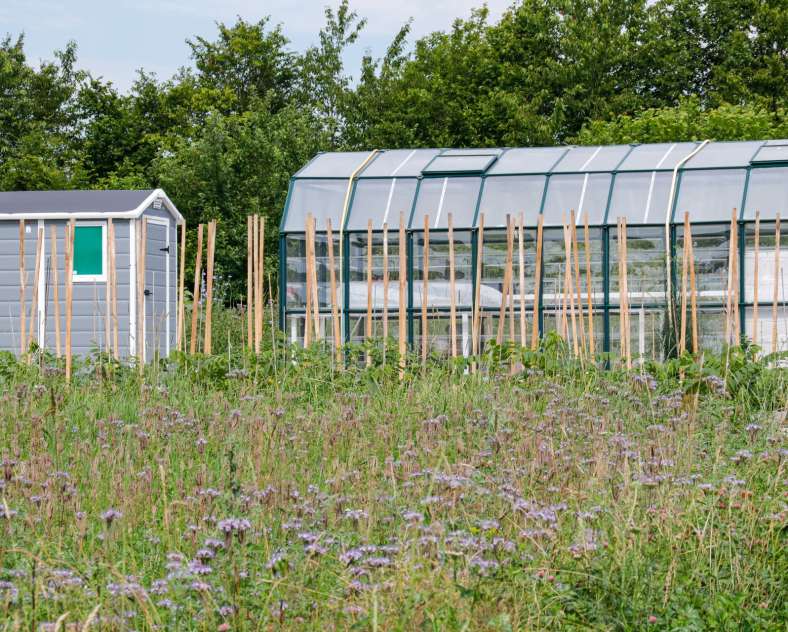 CTurpin - Sarreguemines Tourisme Le goji du val