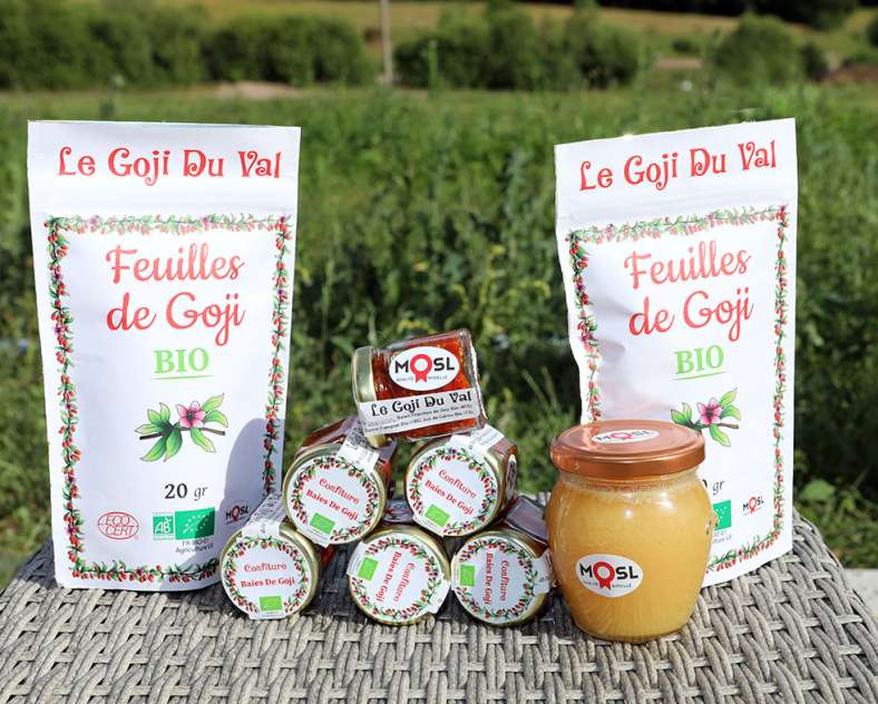 Ombres et lumières Le goji du val