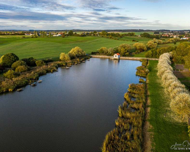 Les Carnets de Moselle-ES  Pond circuit