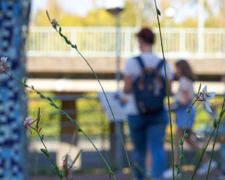 CTurpin - Sarreguemines Tourisme Randoland - Sarreguemines