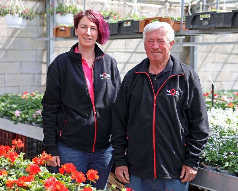 Ombres et lumières  Horticulture litzenburger