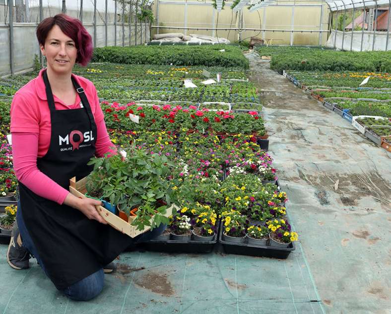 Ombres et lumières  Horticulture litzenburger