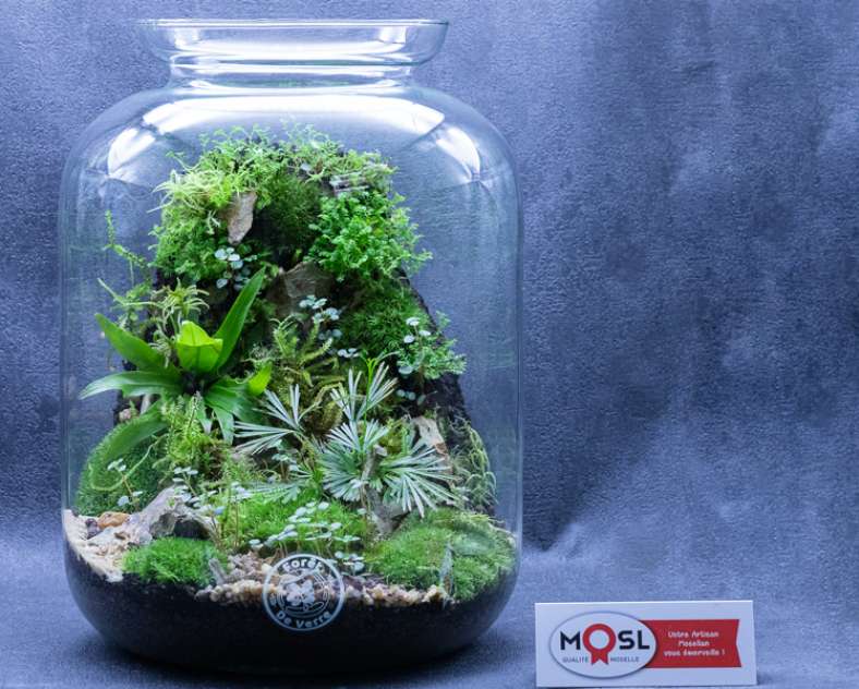 Laetitia Lhermite Forêt de verre