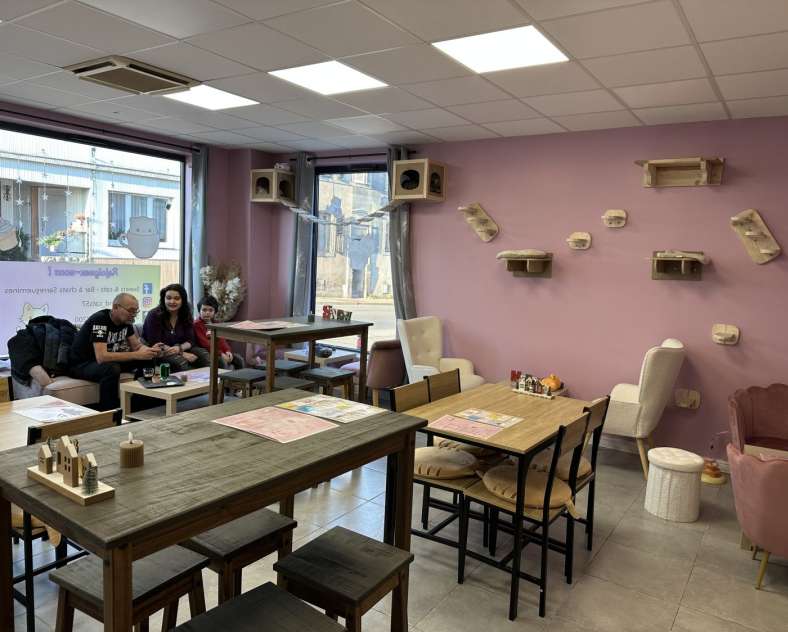 Radio Mélodie Sweets & Cats - Bar à chats