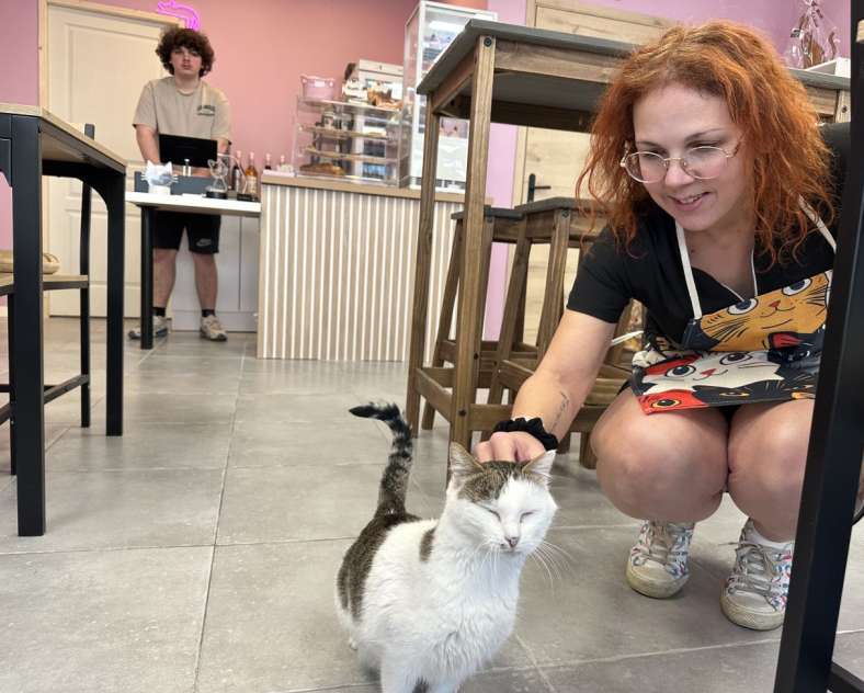 Radio Mélodie Sweets & Cats - Bar à chats