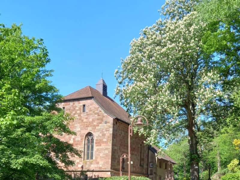Chapelle Sainte-Croix Guided tour of Chapelle Sainte-Croix