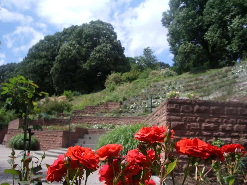 OT FORBACH Parc du Schlossberg