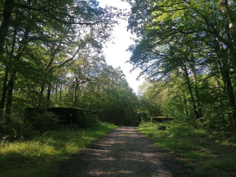 OT CCCE Soetrich trail