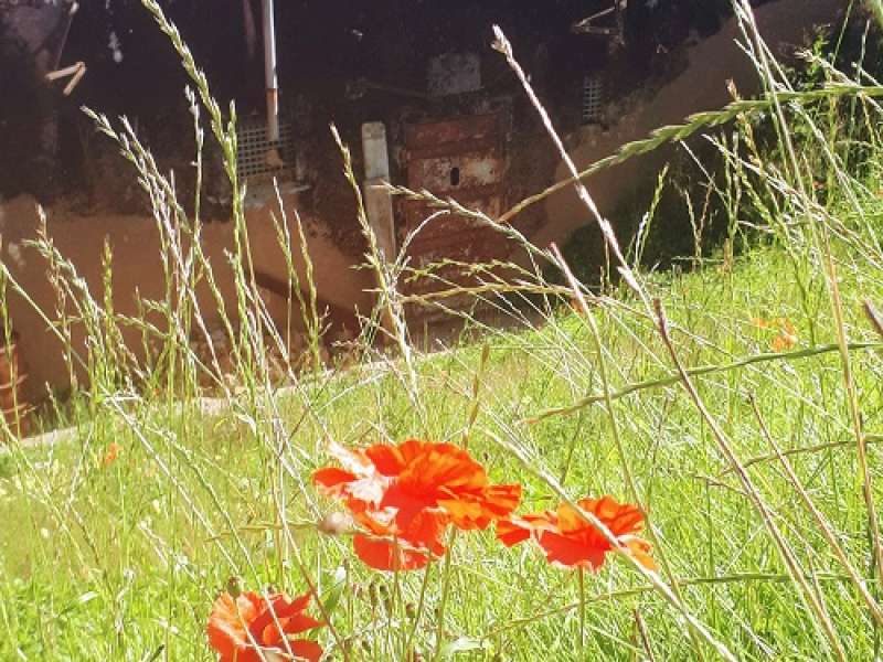 E Cheli CCCE Casemates du Petersberg