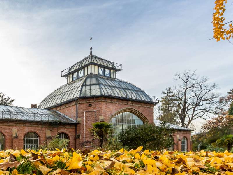 Inspire Metz Metz Botanical Garden