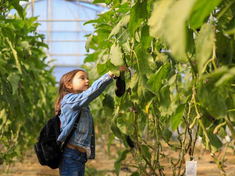 Studio Hussenot Cueillette de Peltre