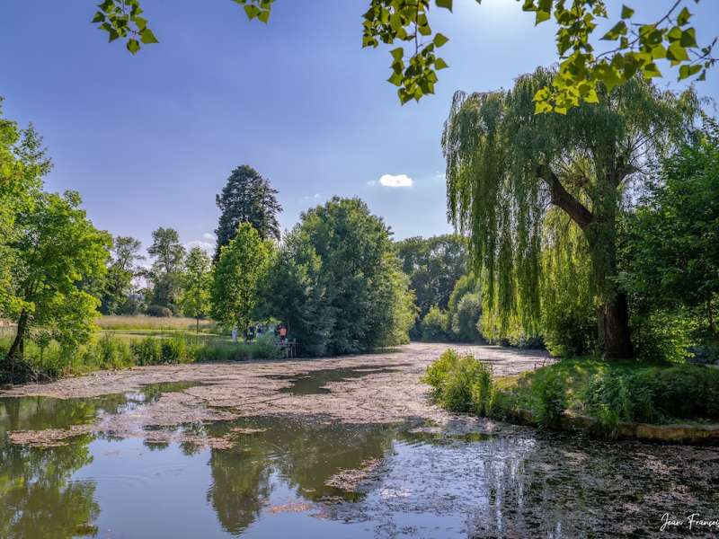 Jean-François Mestre Parc Simon