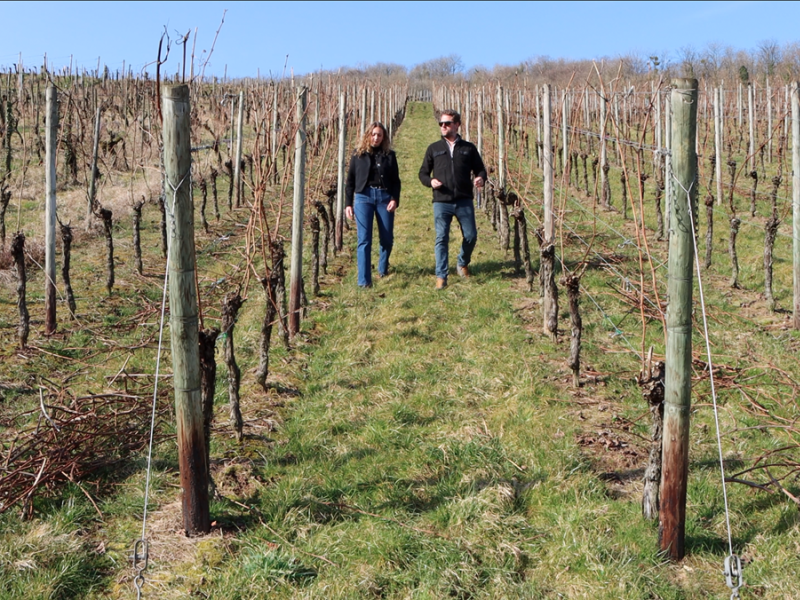 Julien Henrot Dias Domaine Florescence