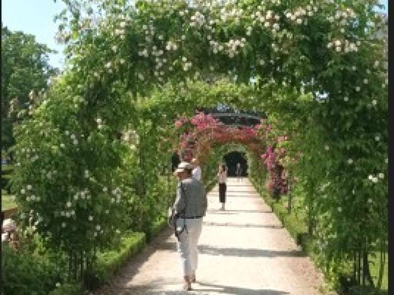 Sylvie GROSSE Sophro balade au Botanique