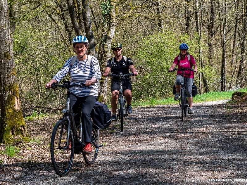 JM GUZIK Balade à vélo