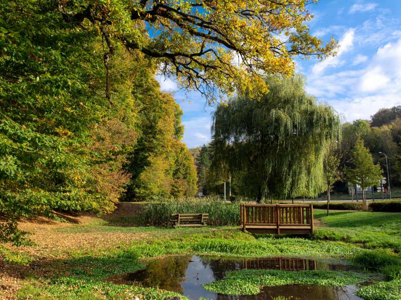 Service communication CAVF  Domaine de Sainte-Neige