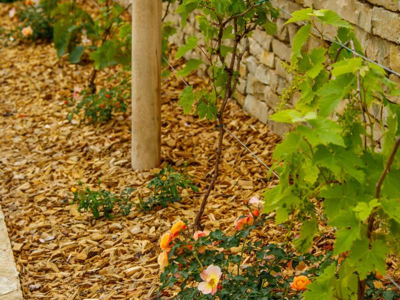 Stéphane Thévenin - ville de Thionville Le belvédère du crève-coeur